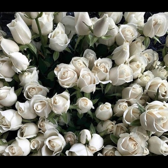 Meet your Posher, Mina - Picture 1 of 1